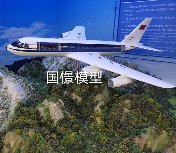 盐田区飞机模型